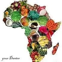 Food & Grocery